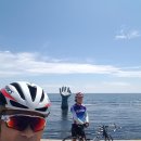 죽도농장 이미지