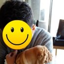 WALWAL(왈왈) 이미지