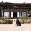 백산건강 이미지