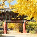 부석사가는길에 이미지