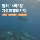 팔팔치킨