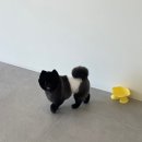 멍풀하우스