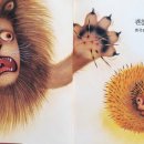 보림콜렉션
