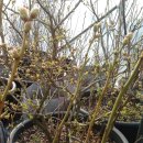 개화농장 이미지