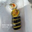 등산코스 _ 불암산힐링타운 - 불암산 정상 등산후기 w. 등산기록어플 램블러 (feat. 노원구 불암산철쭉제🌺)