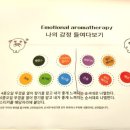 [마을배움터] 아로마테라피 | 부산 영도체험 브리사뜰 아로마테라피 맞춤오일 블렌딩 후기
