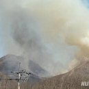 무릉도원면-49 이미지