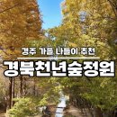 가을환경 | 경북천년숲정원 가을 단풍놀이 후기 산림환경연구원 무료입장 낙엽 상태 주차장