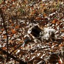 불국유치원 이미지