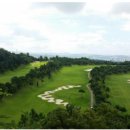 떼제베CC(대중제) 이미지