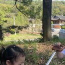 윤톨