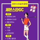 세븐스타 Daum카페