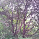 우두산 경로당 이미지