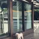 스테이믈믈믈 이미지