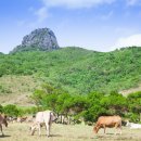 사이언스팩토리 이미지