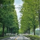 보성군립백민미술관 | 보성드라이브 메타세콰이어길 백민미술관 대원사 벚꽃코스 10km