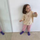 퍼피플랜 이미지