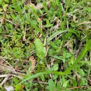 희망영농 이미지