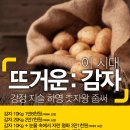 강정평화상단 [제주 햇감자] 특별 판매!! 이미지