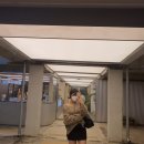 빌드머슬짐 이미지