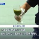 대구 수돗물서 '독성' 마이크로시스틴 검출 논란 이미지