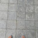 꽃까신
