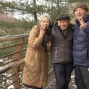 성실식당 이미지