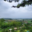 함평천지 이미지