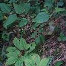 현동농장 이미지