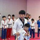 늘 해랑 태권도장 이미지