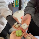 미인고로케 | 일본 후쿠오카 유투어, 히타-유후인-벳부