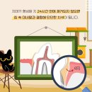 D&C동물병원 네이버블로그