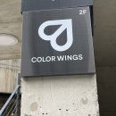 소로3-대흥22호선 | 홍대퍼스널컬러 컨설팅 컬러윙스 추천 후기!