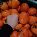 아름이농장 이미지