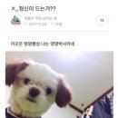 낭만여행 이미지