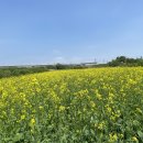 현천배수펌프장 이미지