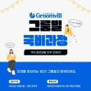 그룸빌 애견미용전문학원 네이버블로그