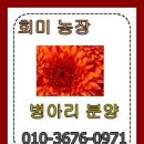 어물농장 네이버블로그