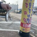 삼봉산주유소세차장 | [당진 맛집] 석문 머그리감자탕 다녀왔어요