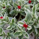 나그네쉼터 이미지