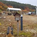 산수미 이미지