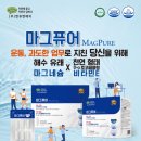 엔큐엔에이 이미지