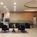 윈스톤12