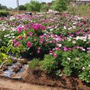 한길타조농장 이미지