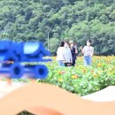 산소카페 청송군민음악회 이미지