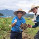 겸면농장 이미지