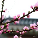 가야관광호텔사우나 이미지