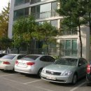 분당-110 이미지