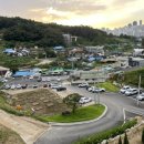 이도포레스트