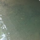 담양여행 이미지